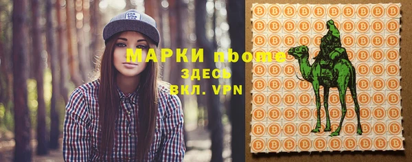 твердый Кулебаки