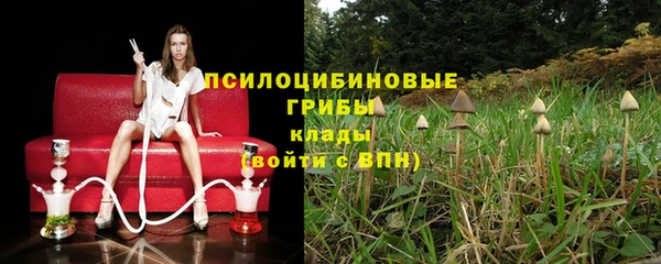 ГАЛЛЮЦИНОГЕННЫЕ ГРИБЫ Костерёво