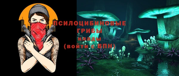 спайс Ладушкин