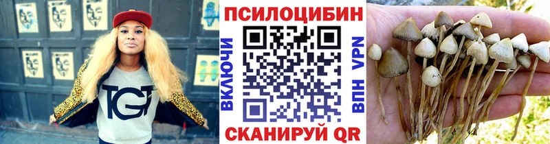 OMG зеркало Стародуб Галлюциногенные грибы мухоморы продажа наркотиков
